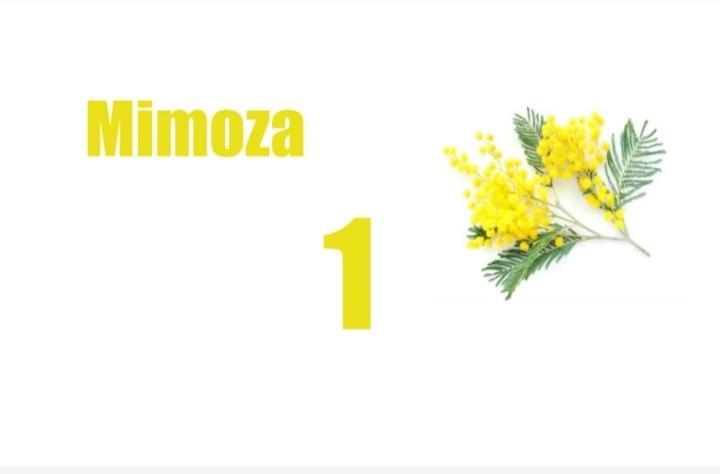 בודווה Apartments Trifunovic Old Town מראה חיצוני תמונה